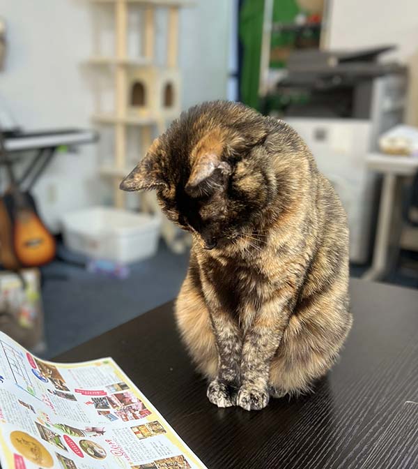 大須がもっと楽しくなるフリーマガジン ばらばら。